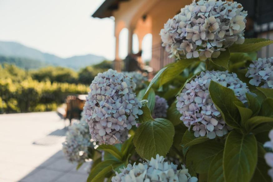 Il Frescale Country House Tramonti Buitenkant foto